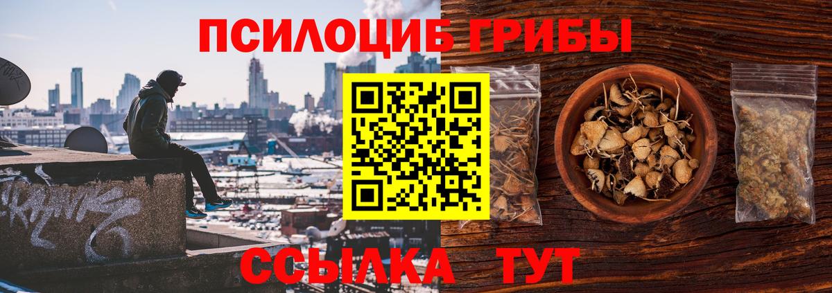 Псилоцибиновые грибы MAGIC MUSHROOMS Новосибирск